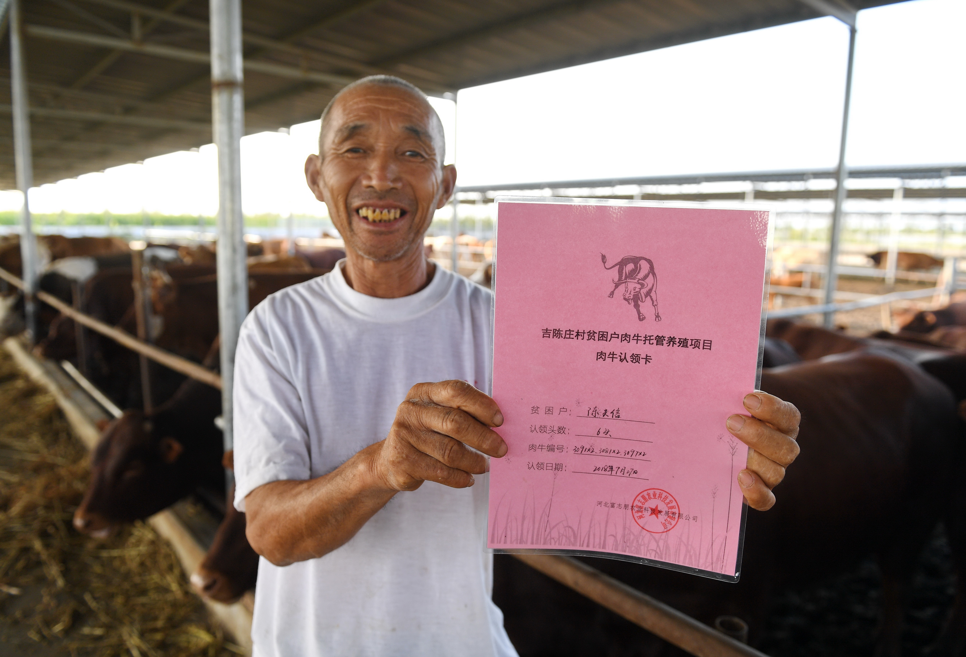 河北巨鹿:"托养牛"拓宽精准扶贫路(5)