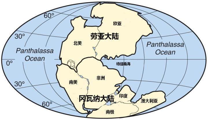 一组罕见的大自然景观;美丽的雪卷