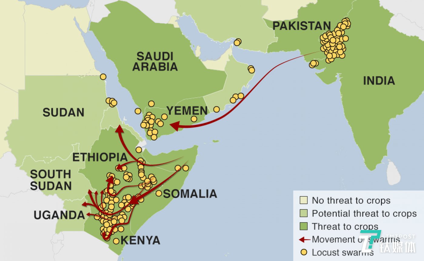 2020非洲蝗灾路线图图片