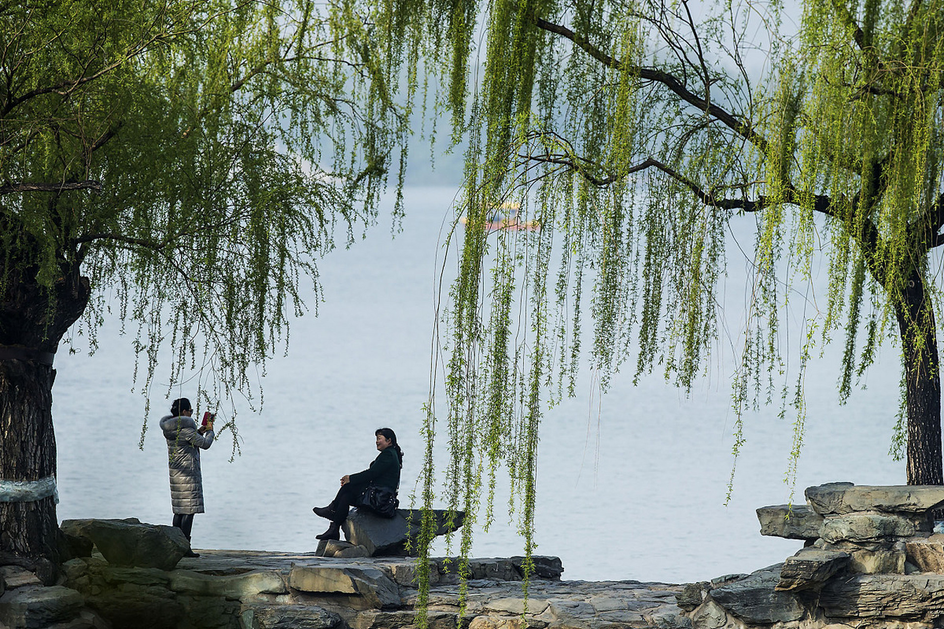 最美诗词欣赏:《送别诗》杨柳青青著地垂,杨花漫漫搅天飞.