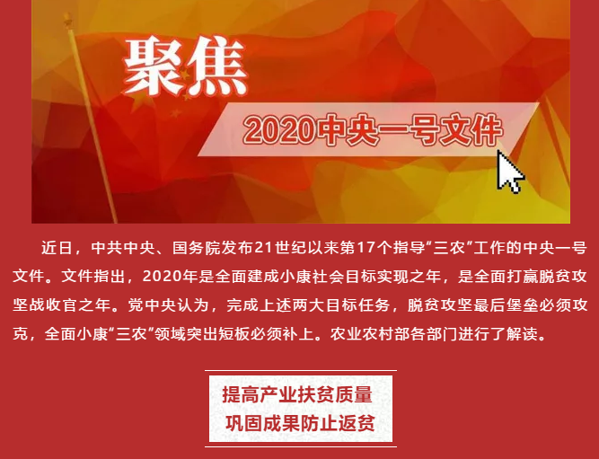 2020年中央一号文件系列解读二