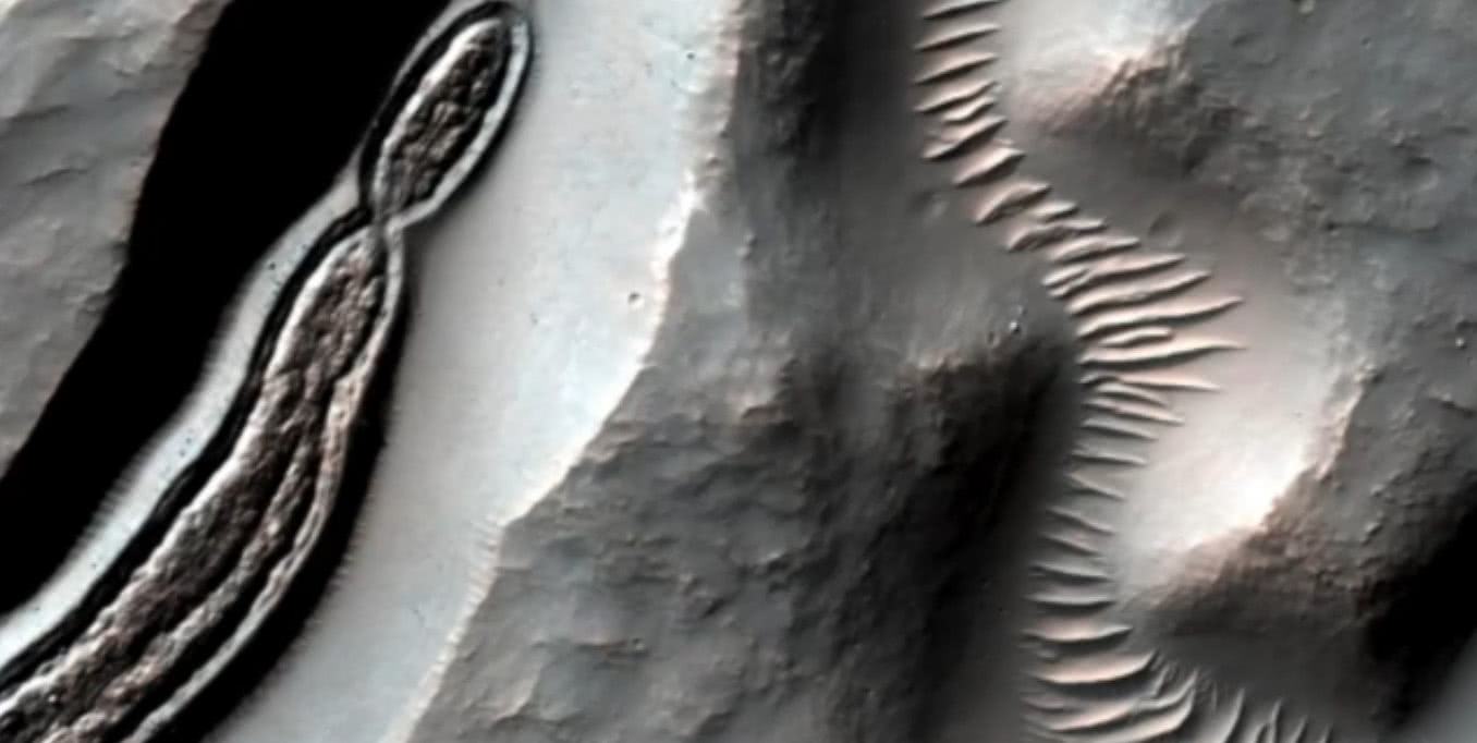 nasa火星车拍到"人脸""虫子"?科学家:火星生命可能很繁盛