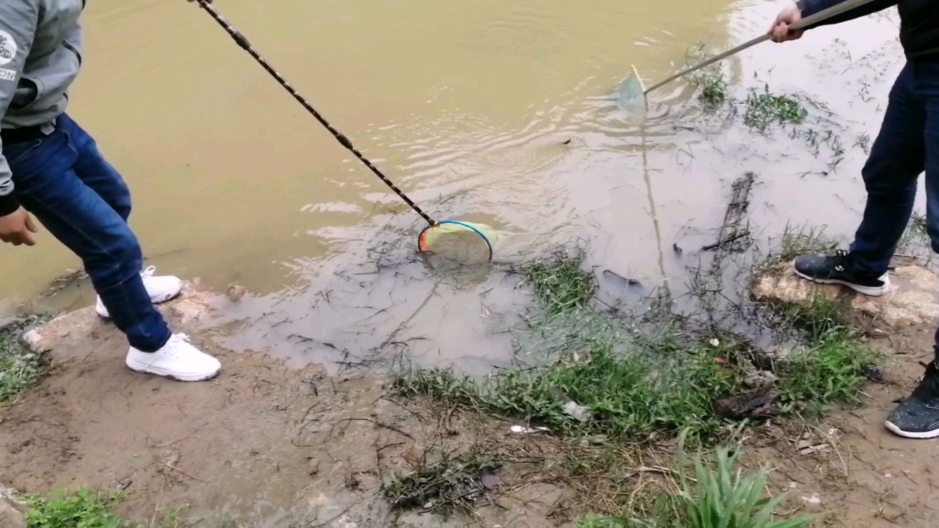 昨天晚上下暴雨,岸边很多鱼,啊锐抓泥鳅用来钓大黑鱼,收获满满