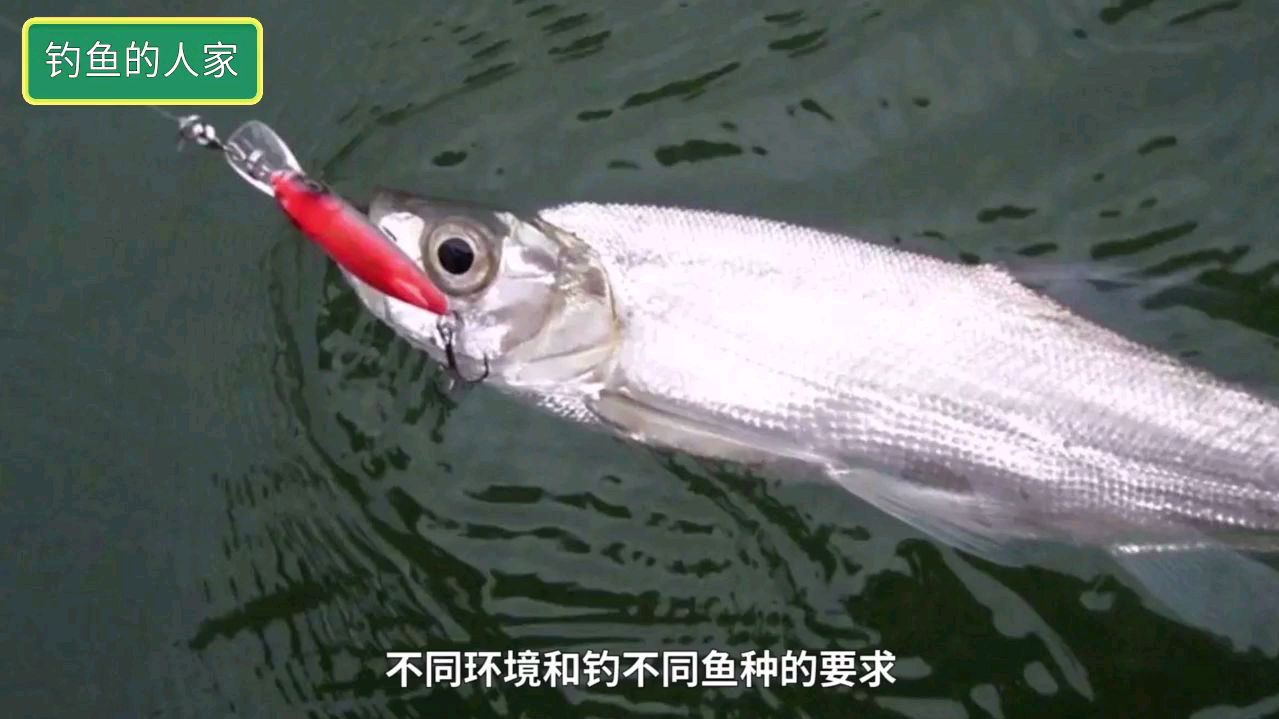 采用“仕挂”钓鱼,最省钱的钓鱼方式,野钓不再怕断鱼线和断鱼钩