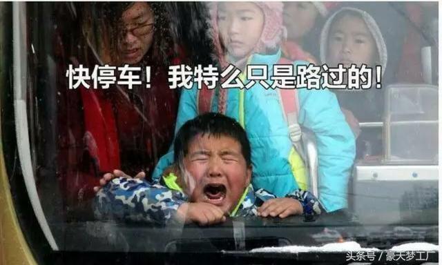 快停车!我特么只是路过的