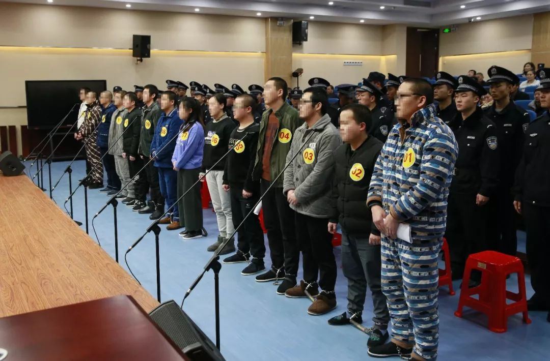 蜀山法院公开开庭审理刘某某等14人 参加黑社会性质组织案