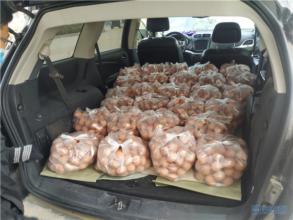 利津县凤凰城街道:大量新鲜鸡蛋积压,急盼八方援助!