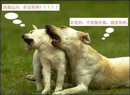 轻松时刻:这画面想想就刺激!