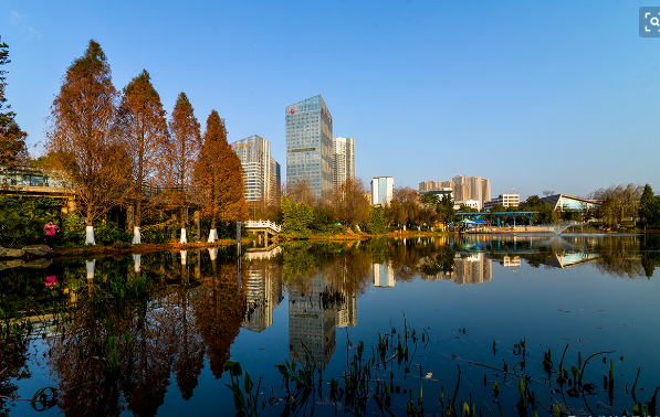 走进官渡森林公园,领略大自然的美景