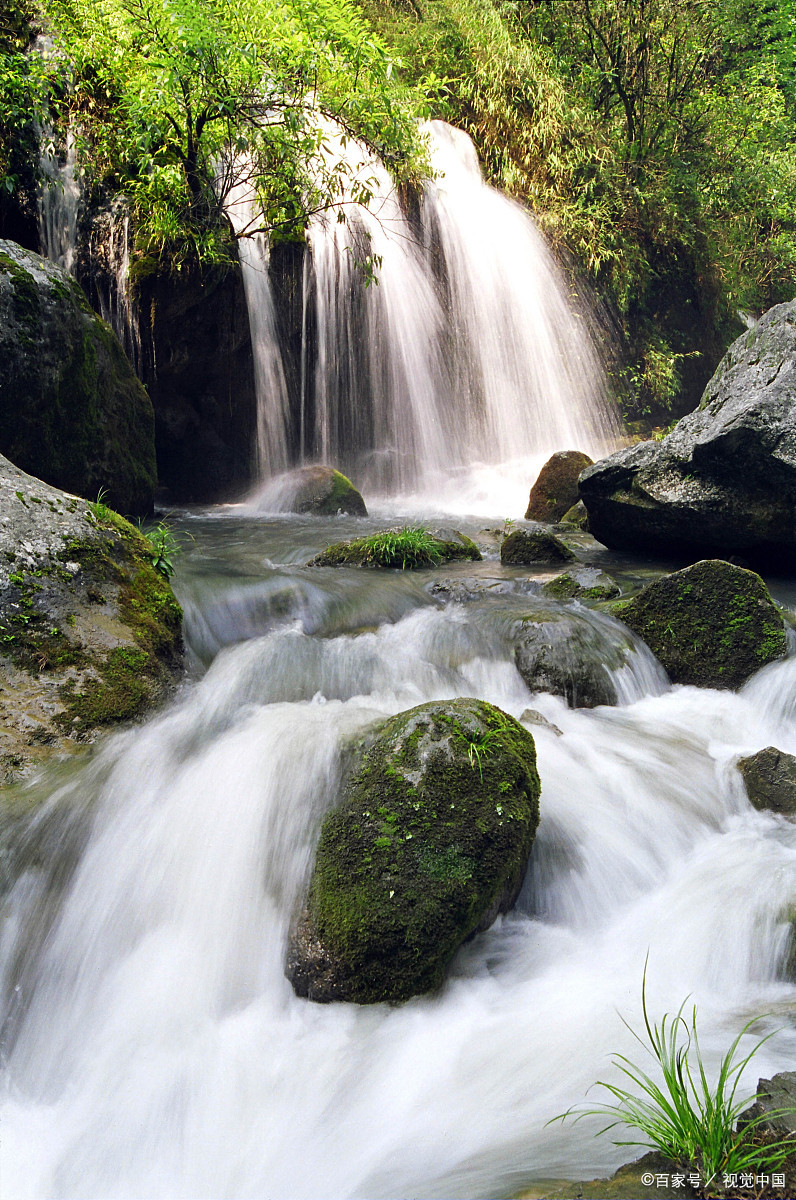 深山老林风景