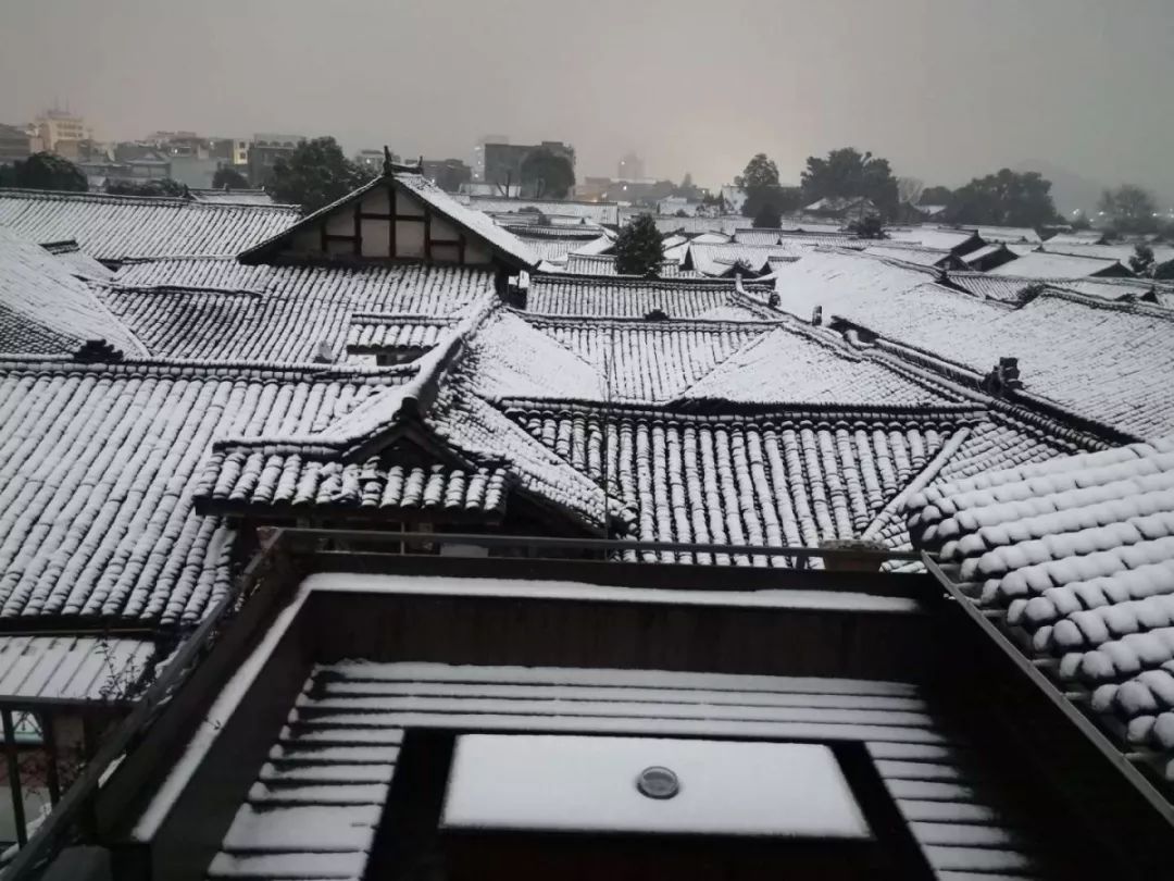 南部,仪陇等地的雪景刷屏 让人羡慕不已 原以为昨晚南充城区会降雪 但