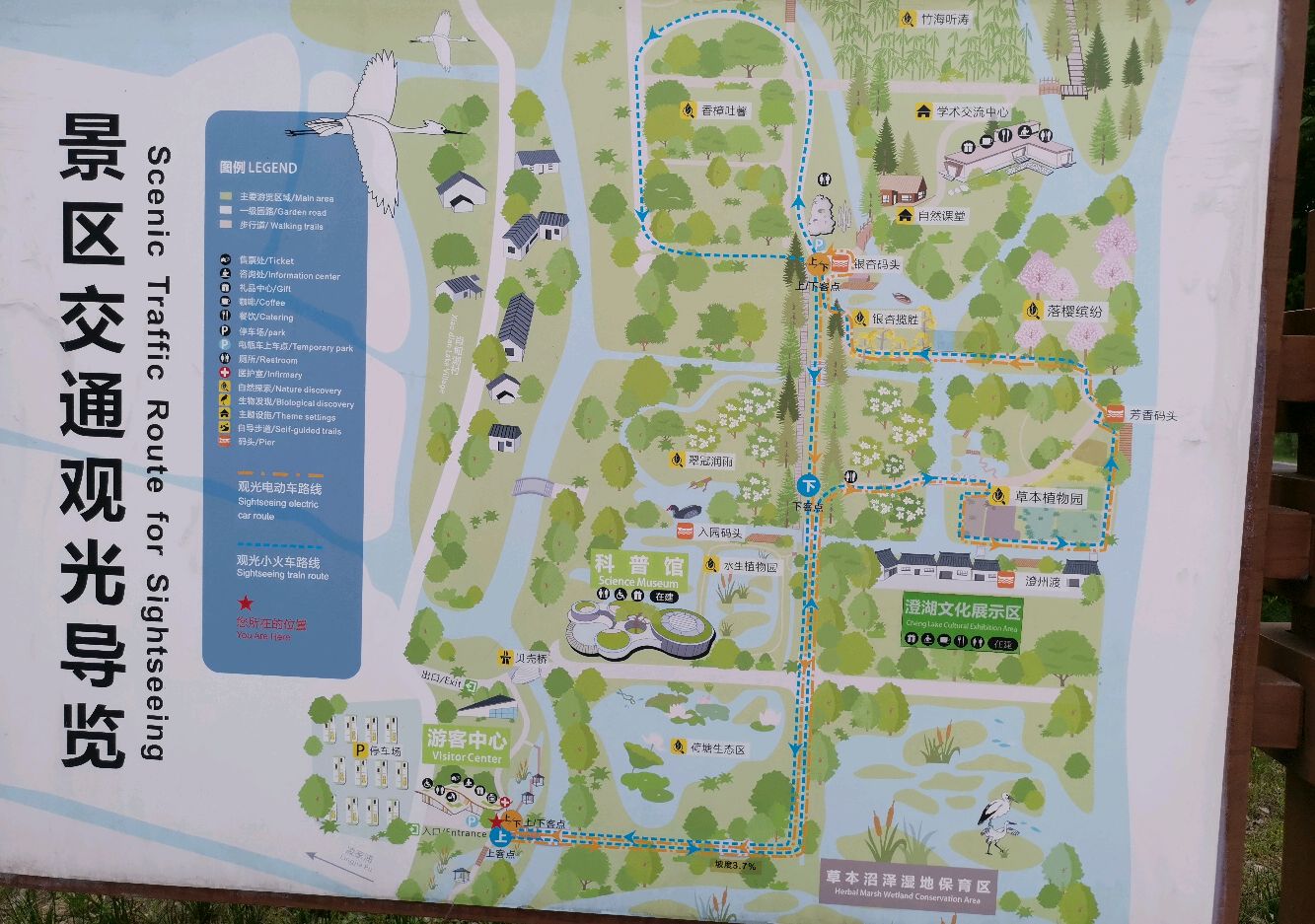 同里国家湿地公园,一个鸟语花香的地方