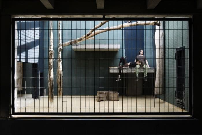 给你1000万,让你待在这样的房子里与世隔绝两年,你愿意吗?