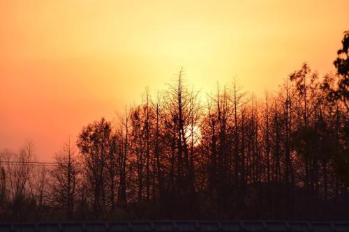 "人言落日是天涯",望不见的故乡,道不尽的乡思