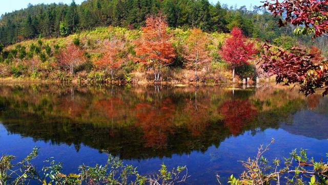 广东最美省道s244全长300公里 可自驾可骑行