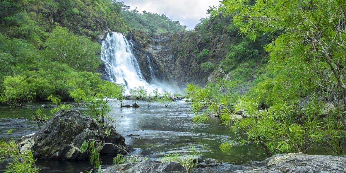 带你走进美丽的澳大利亚热带雨林