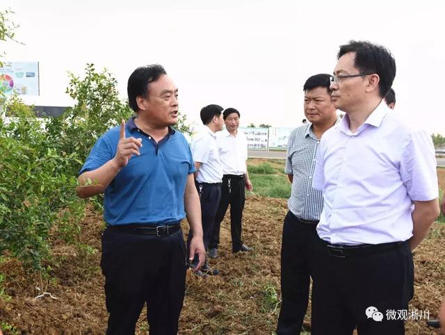 南阳市委常委,副市长孙昊哲一行莅淅调研脱贫攻坚工作