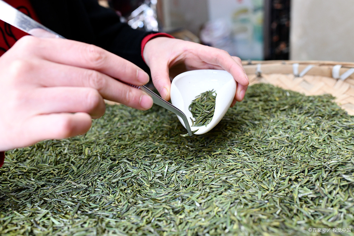 茶叶- 热门商品专区