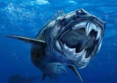 10大古代鲨鱼图片图片