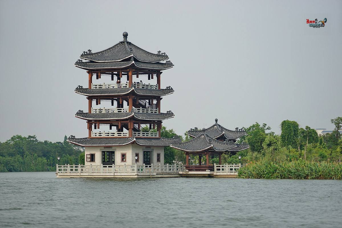 游遍祖国美景,广东东莞,不能错过的湿地公园