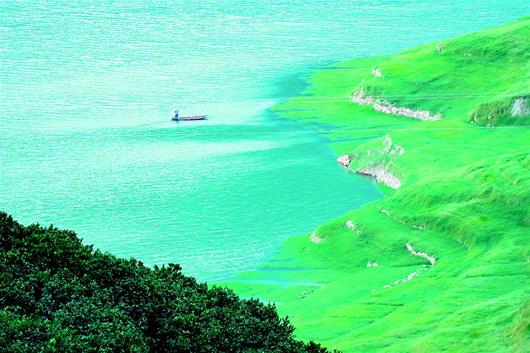 三峡水库消落带现生态美景