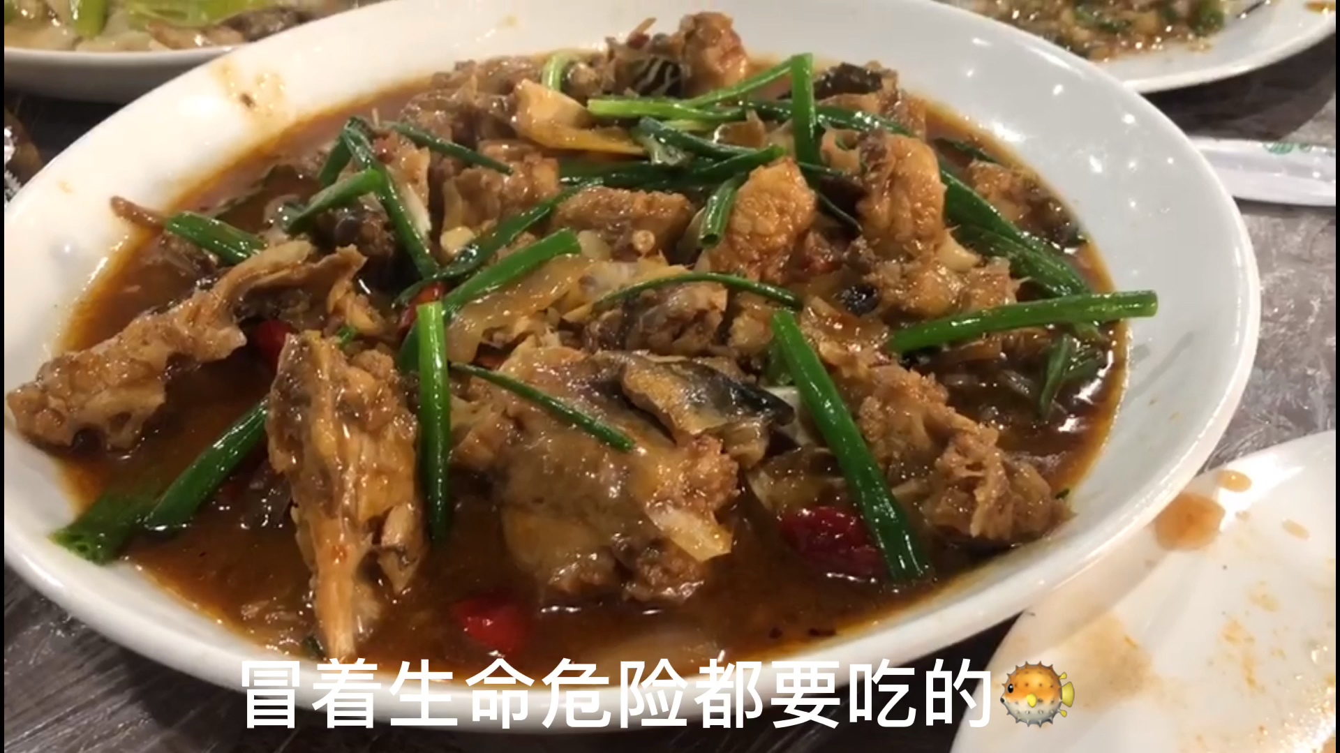 小扬今天冒着“生命危险”去吃一道美食!很多人不敢吃?