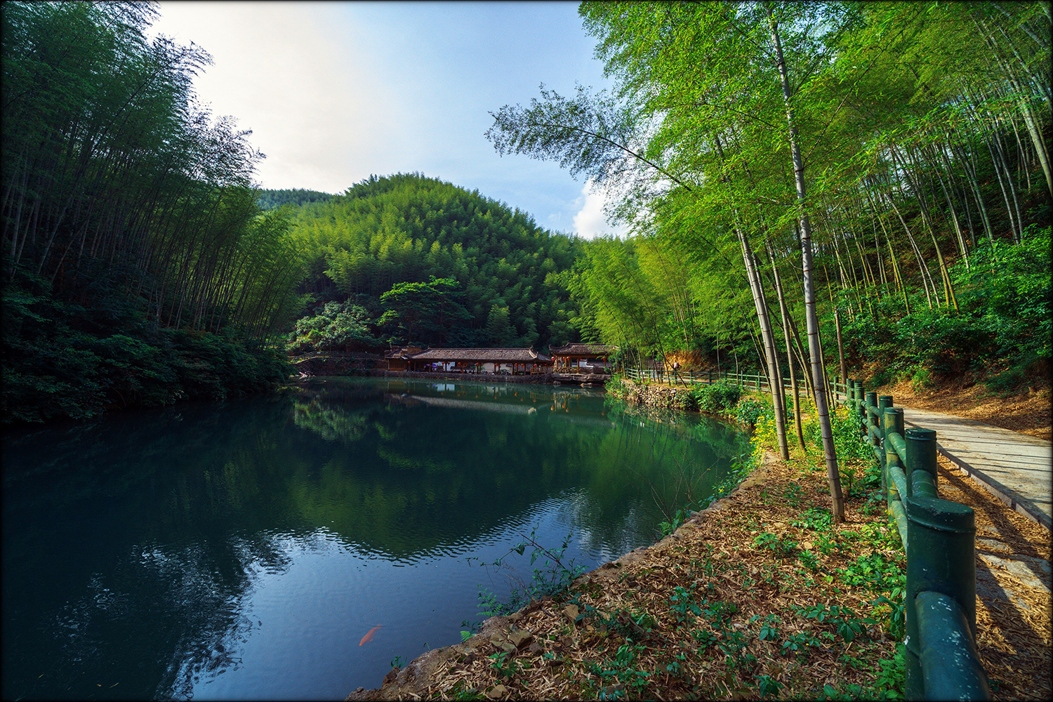 木坑竹海又称"滴翠谷",为黄山入黟第一寨