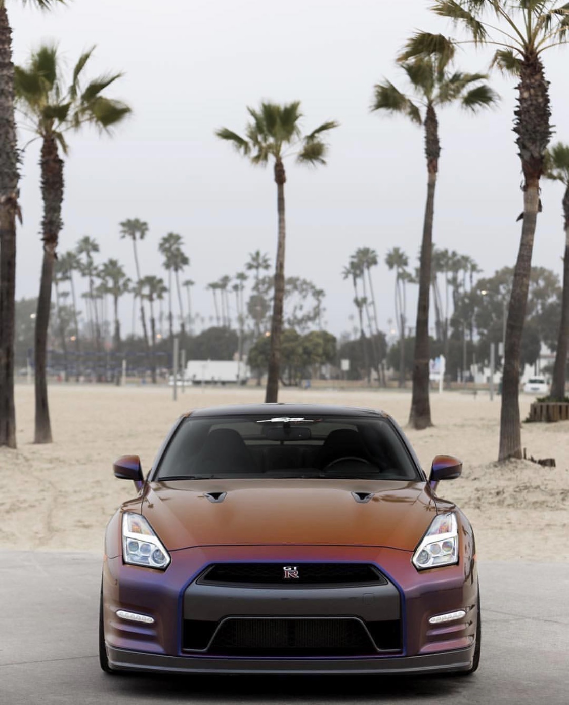 gtr最新最靓美图欣赏,思域最后镇楼哦