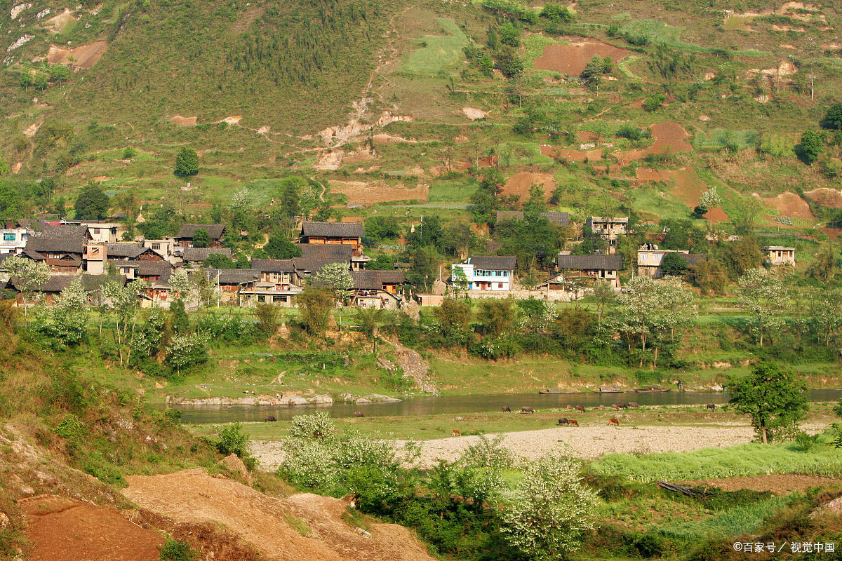 金秋图文动态创作节#    位于涪陵,武隆,丰都三县区交汇之地的大木 