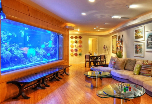 统一原则 假如整个客厅或房间属于简约型设计,则不宜再摆放艳丽的鱼缸