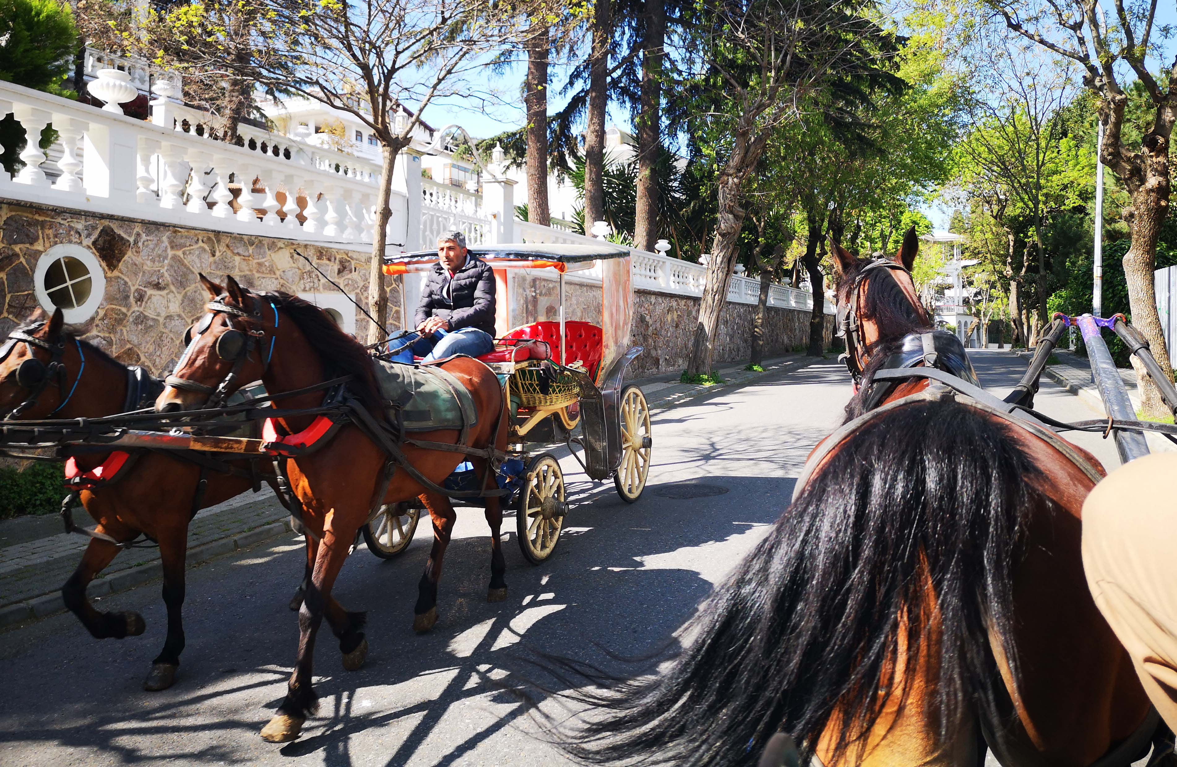 伊斯坦布爾知名景點王子島將禁四輪馬車