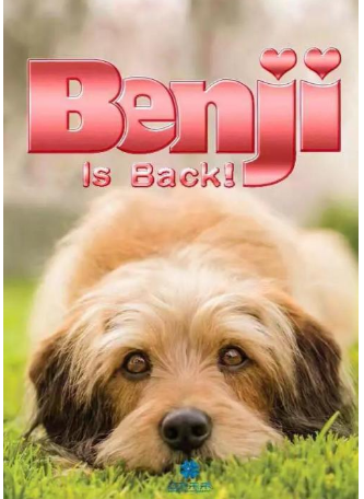 虽然上映两天票房只有百万,但这部《神探狗笨吉》豆瓣评分7.0!