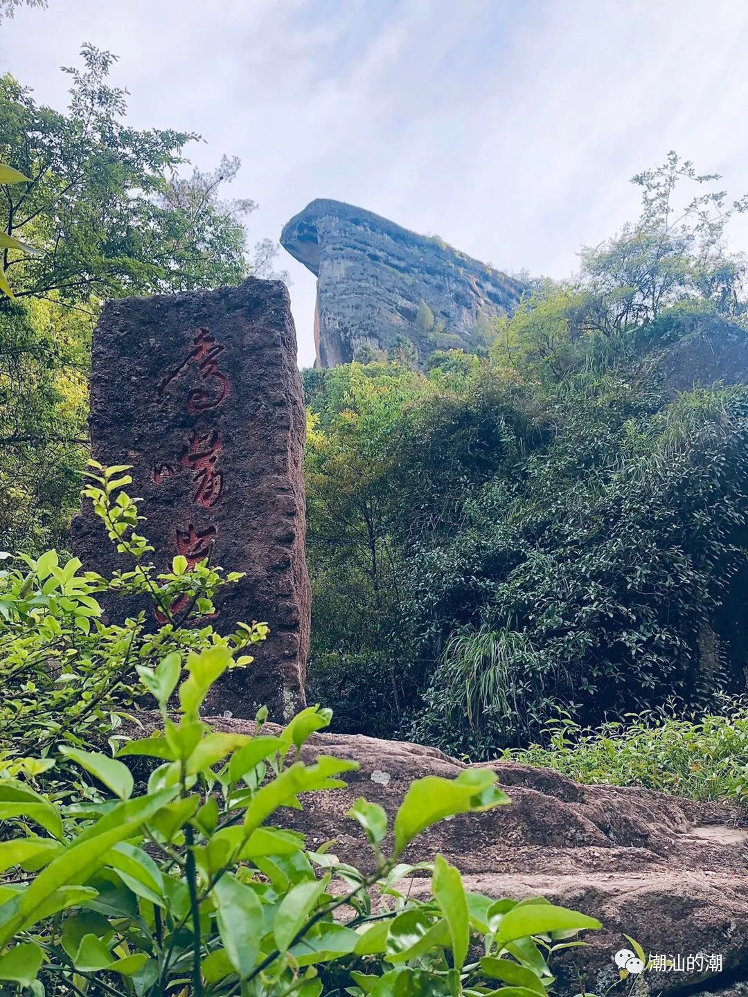 武夷大红袍风景区~闽北之行