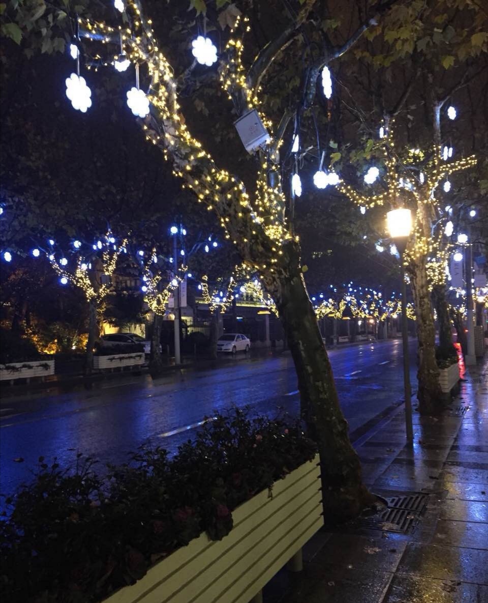 原创诗歌:蓝色街灯