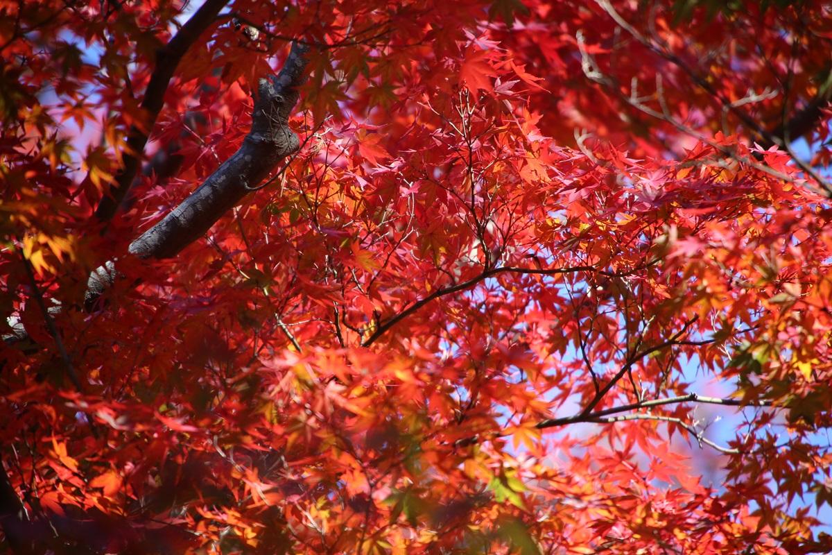 这六张相片太好看了,你喜欢吗?