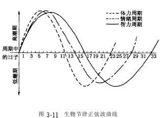 人体生物节律表图片