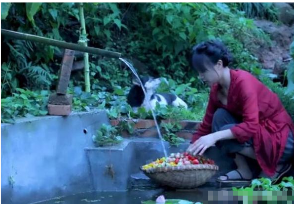 李子柒摘"特色"番茄时,看到她脚上的鞋子,网友不淡定了