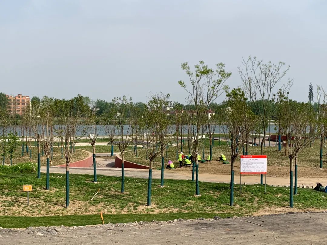 5月开放!襄阳又一座江滩公园完工