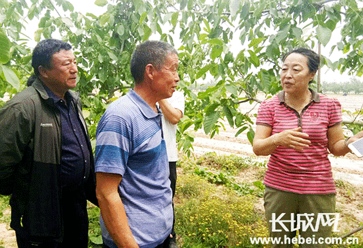 河北人刘汉章,李保国被党中央,国务院授予改革先锋称号