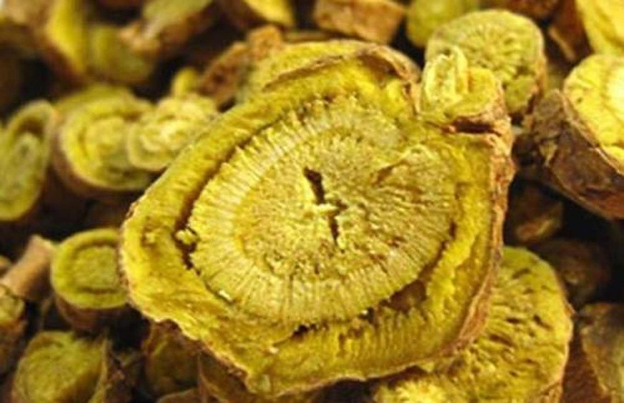 黄芩素具有降低脑血管阻力,改善脑血循环,增加脑血流量及抗血小板凝集