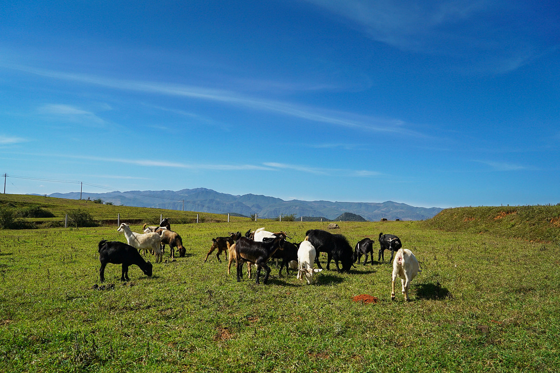 云南昆明之寻甸北大营草场  亲爱的读者们,今天我要向你们推荐一个