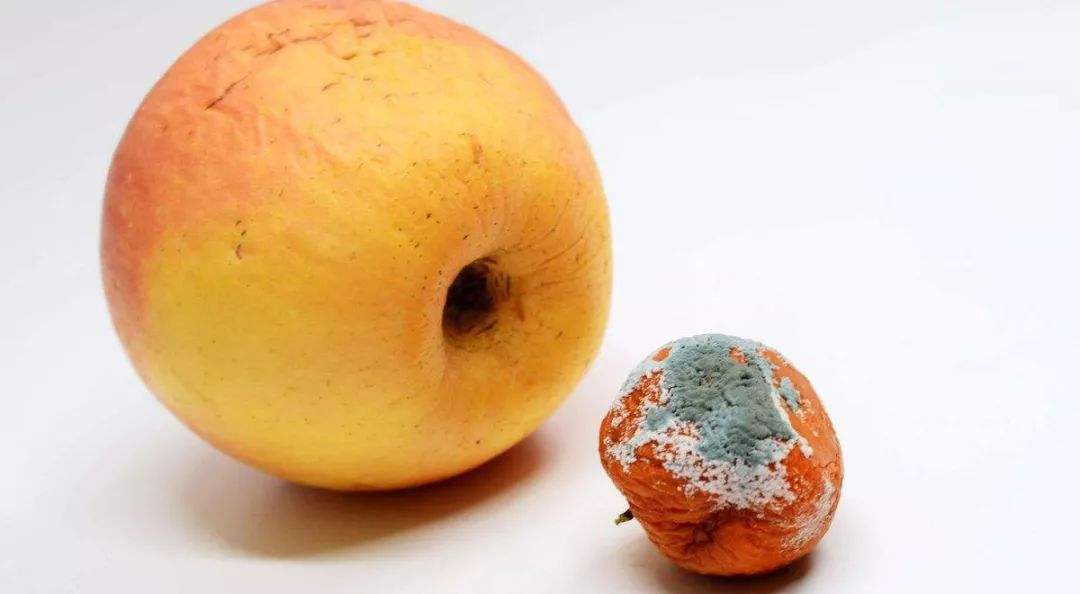 癌细胞最怕什么水果图片