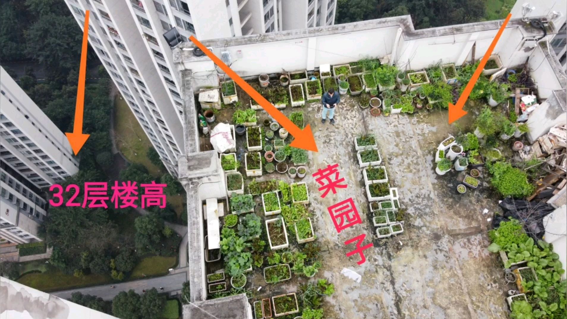 重庆一小区农家乐菜园子建在三十多层的楼顶 都不用下楼买菜了