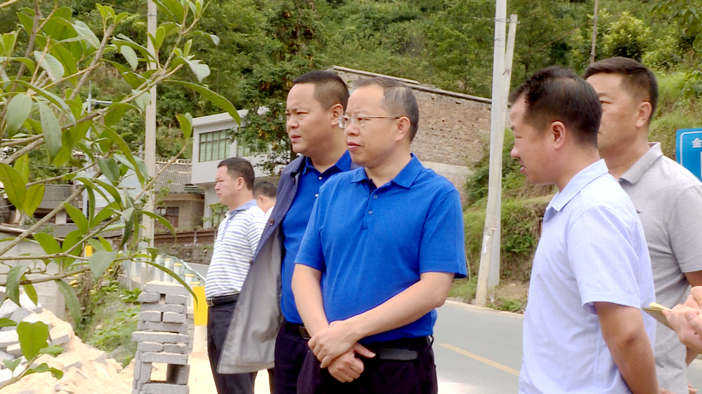 潘发勇到乡镇督导脱贫攻坚工作