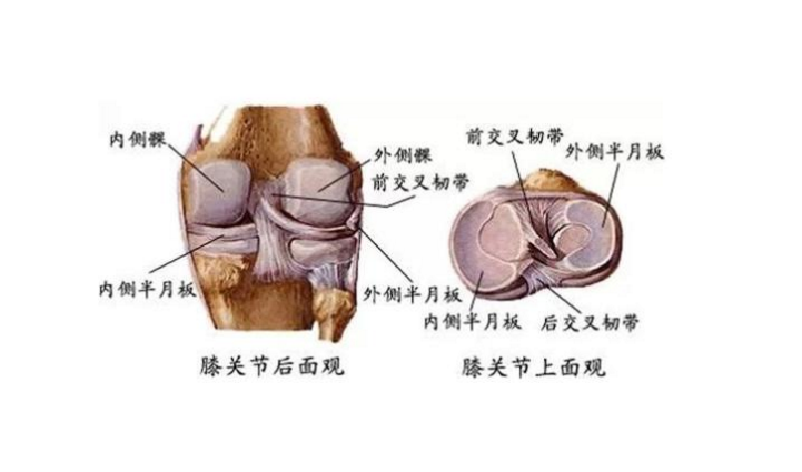 農村婆婆傳授5個