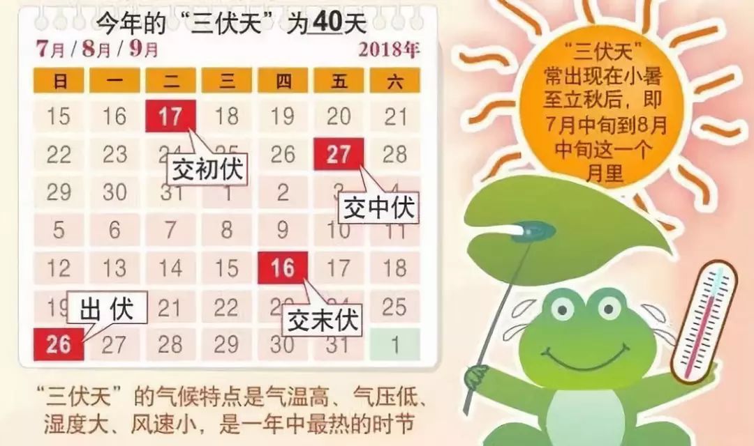 入伏了,承启堂告诉你三伏贴该注意什么,这些知识最好懂