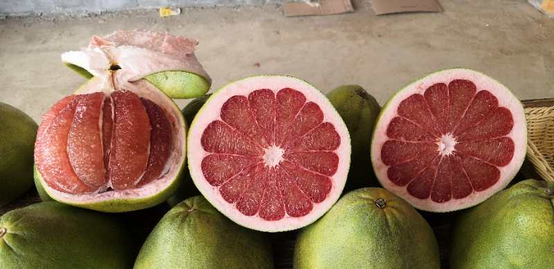 泰国红宝石柚种植温度要求