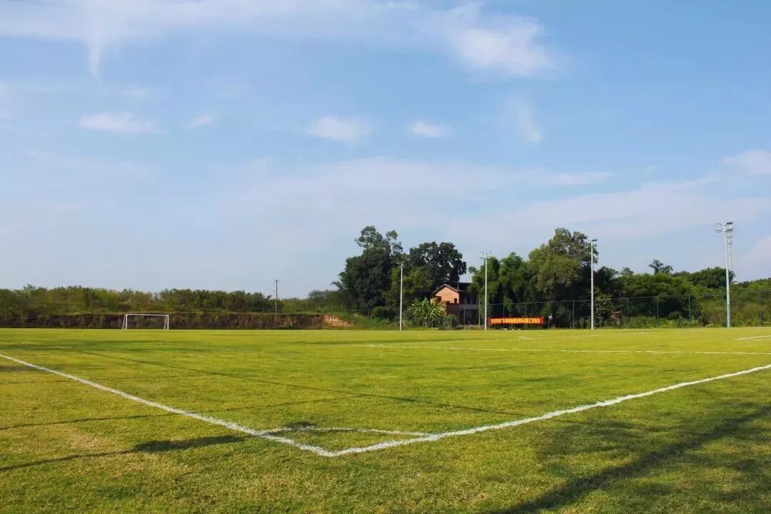 江津这块真草足球场即将投用!周边还能采摘时令蔬果!