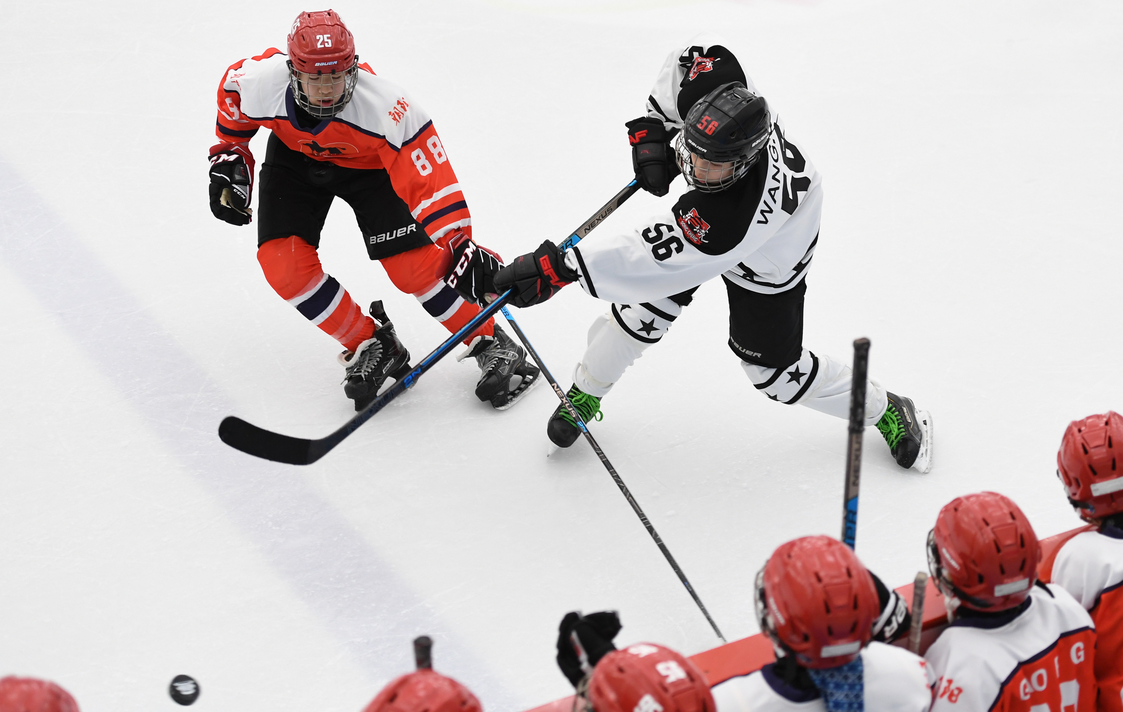 冰球——北京市第一届冬季运动会竞技组冰球决赛赛况