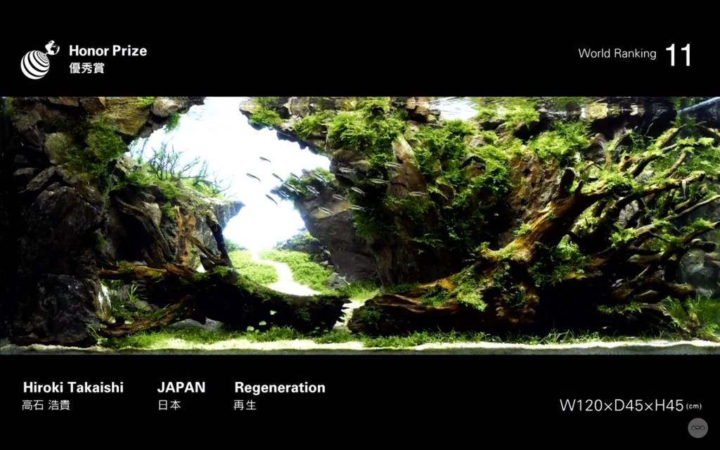 2018ada造景大赛获奖作品出炉,头奖草缸是对硬骨架泛滥的回应?